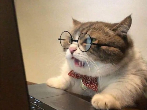 Tiêu đề bài viết tuyển dụng 1 (1)