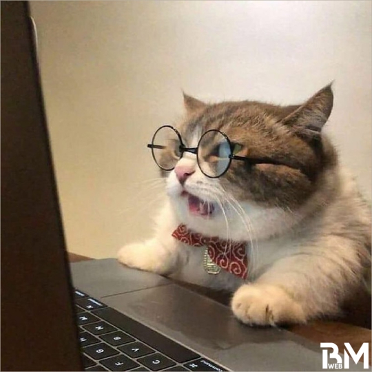 Sản phẩm test full breadcrum (1)